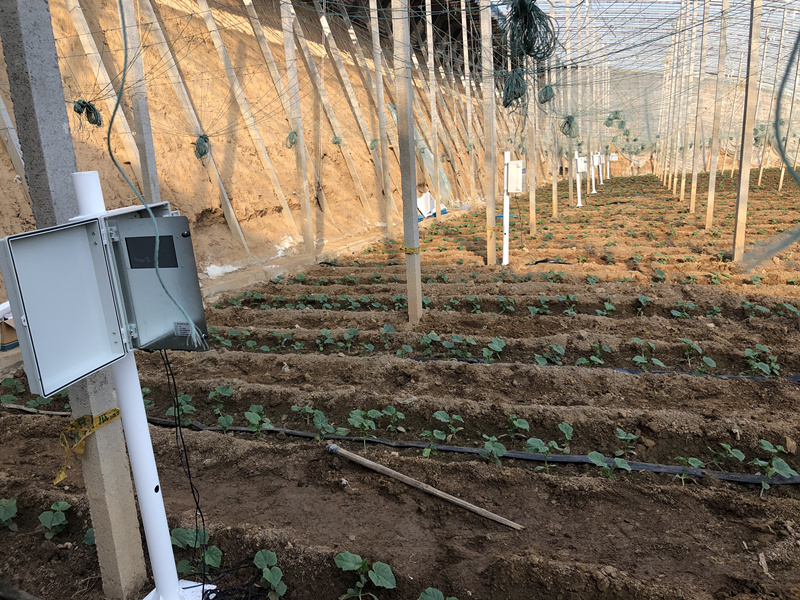  Tongjiang Agricultural Bureau purchases soil moisture monitoring system and weather station
